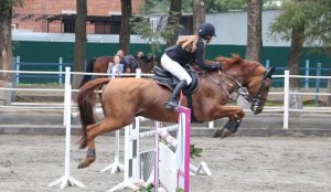 Кубанские и ростовские всадники разыграют награды краевого турнира по конному спорту