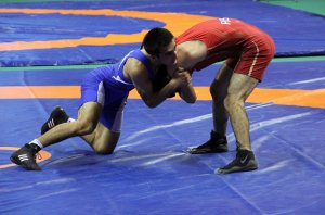 Спортсмены из Кубани будут участвовать в чемпионате Европы по борьбе