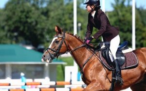 Красноармейский район примет региональные соревнования по конному спорту.
