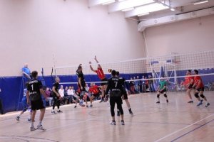 Волейболисты будут бороться за Кубок главы Краснодара