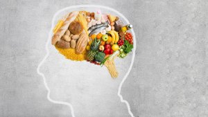 Как голод делает еду вкуснее: нейронная цепь в гипоталамусе