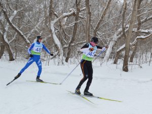 Развитие выносливости в лыжных гонках