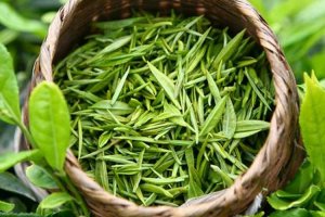 Экстракт зеленого чая: свойства и влияние на организм