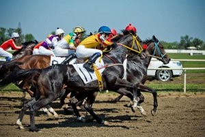В Динском районе организуют конные скачки с тремя заездами
