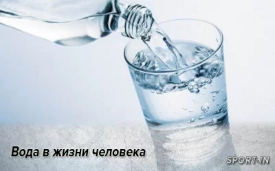 Вода в жизни человека